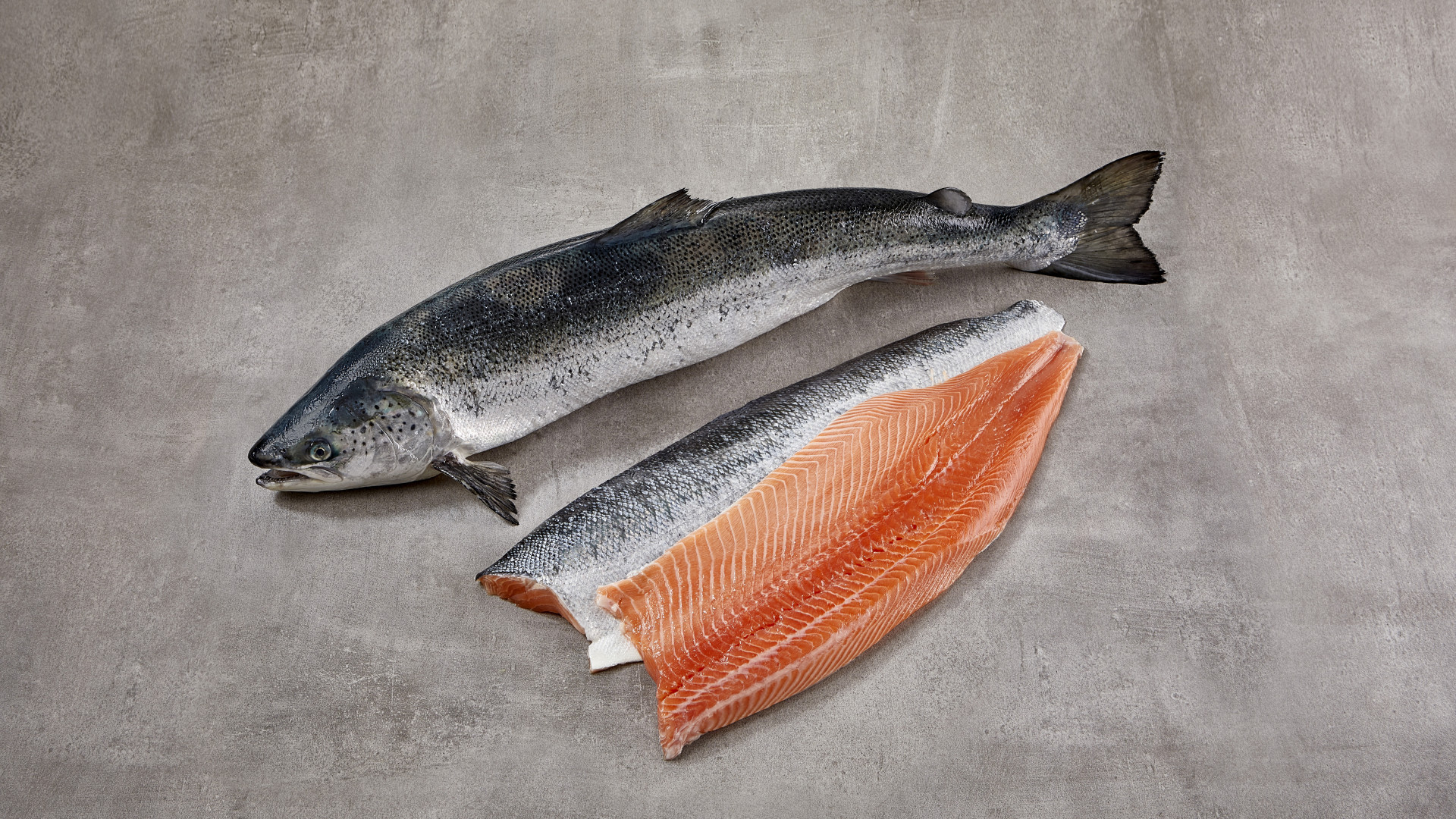 Zalm, vis van de maand maart